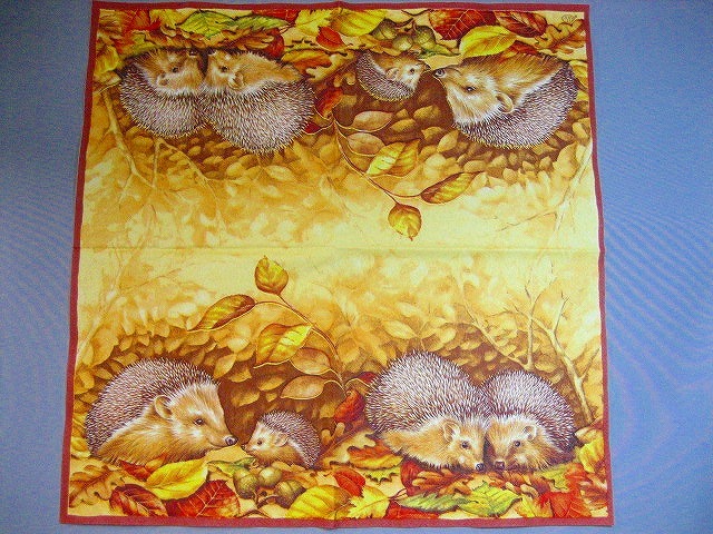 Hedgehog