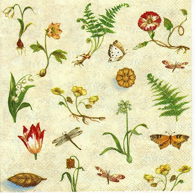 Botanical Study