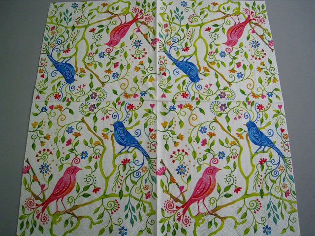 Magical Birds