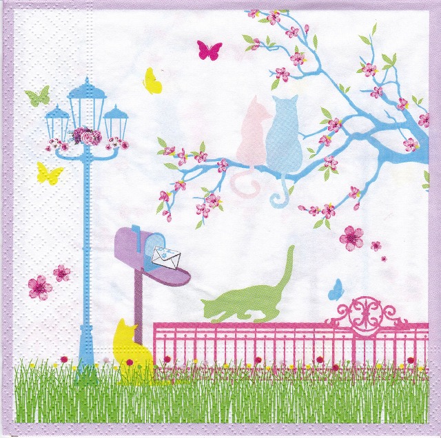 Cats Freedom