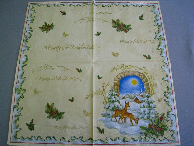 Winter Animals