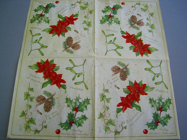 Poinsettia